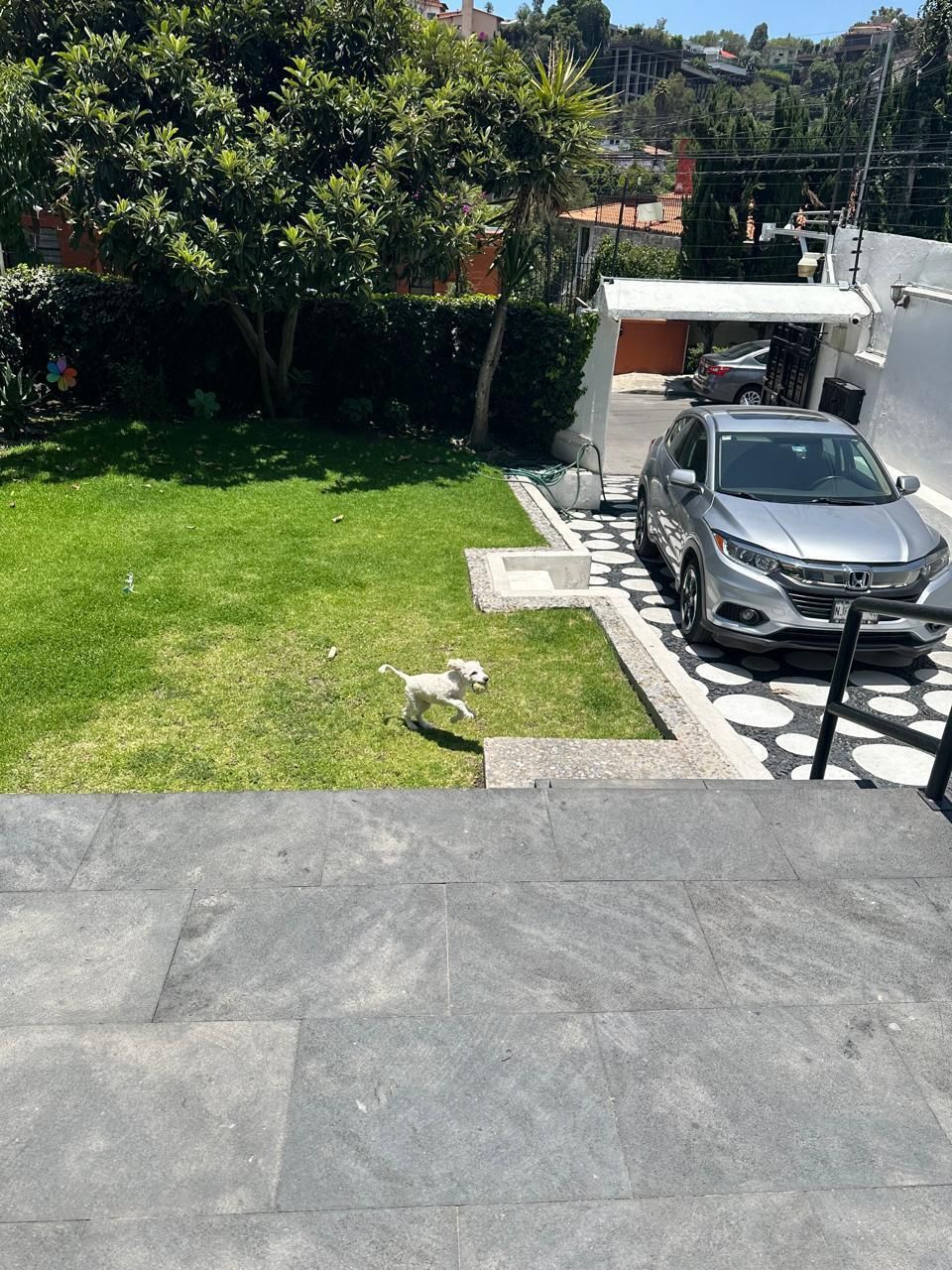 24, Fuente del Pescador, 050, Lomas de Tecamachalco, 53950 24, Fuente del Pescador, 050, Lomas de Tecamachalco, 53950